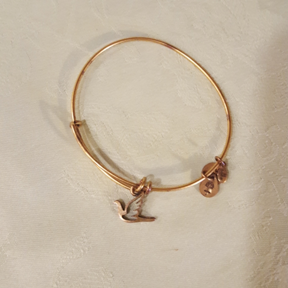 Alex and Ani dove bracelet